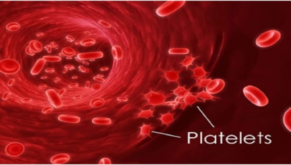 Thrombocytopenia: Causes, Symptoms, and Treatment