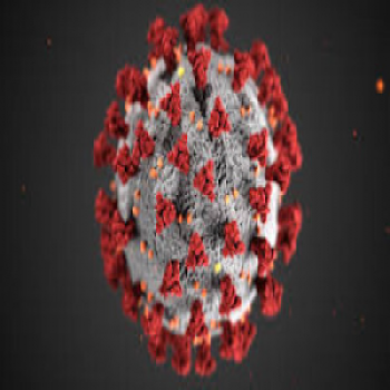 Coronavirus Test - SARS - CoV-2 (COVID-19) Detection
